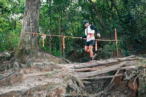 BIB: 
                            <button type="button" onclick="openModal(27805830)" class="btn btn-primary btn-sm float-right btn-popup" data-toggle="modal" data-target=".modal-high-quality">
                        <i class="fas fa-shopping-cart"></i> Add to Cart
                    </button>
                                            <button type="button" onclick="isThisMe(27805830, true)" class="btn btn-success btn-sm float-right btn-popup btn-isme hidden" data-toggle="tooltip" data-placement="bottom" title="นี่คือรูปของคุณใช่ไหม คลิกที่นี่เพื่อเอาเข้าอัลบั้ม">
                        <i class="fas fa-plus"></i> Add to album
                    </button>
                    <button type="button" onclick="isThisMe(27805830, false)" class="btn btn-warning btn-sm float-right btn-popup btn-isnotme hidden">
                        <i class="fas fa-ban"></i> Remove from album
                    </button>